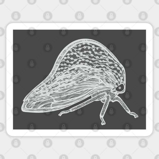 Treehopper Ink Art - cool insect bug design - on dark grey Sticker by Green Paladin
